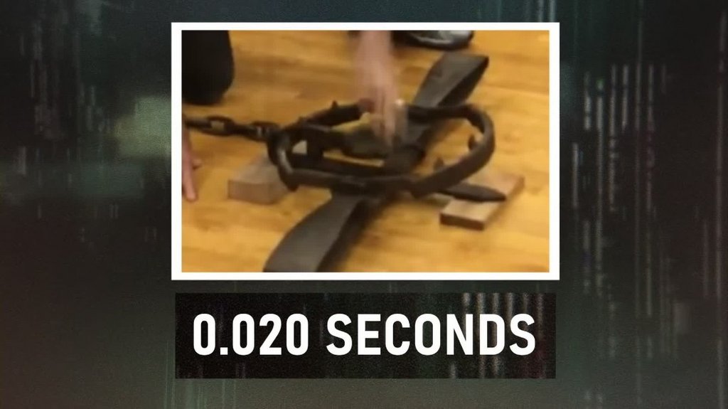 [Image: c3fotc21gp1q.jpg]