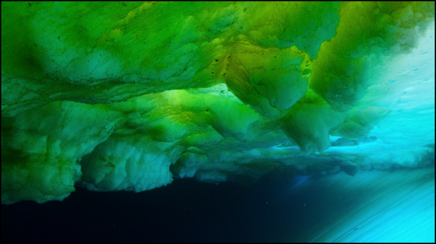 [Image: n44eqvb2sak6.png]