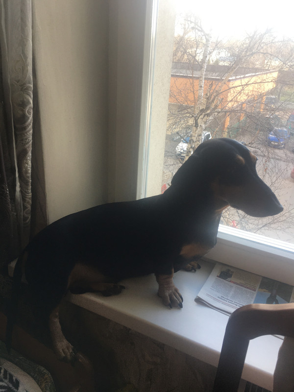 E7C307DA-88ED-4B7C-B229-74B54FE62B6C