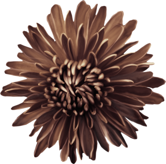 Autumn Witchery (107)