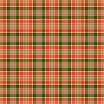 299072_205353066190986_5081601_n