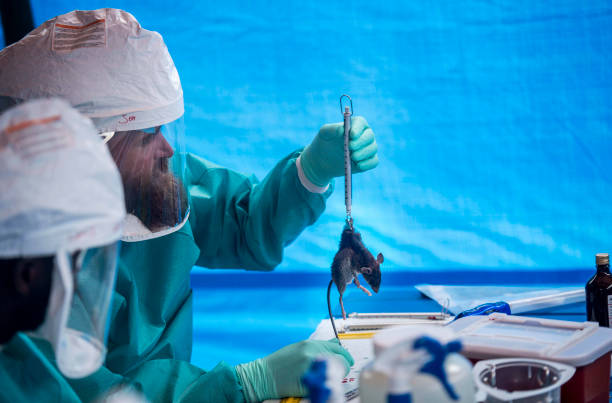 AE9F6D46-CB23-43D5-AF8C-109BF92929FD