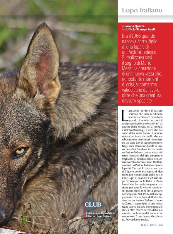 Il M C Nov 2021 (10)