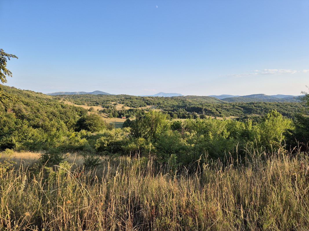 20250802-184547.jpg