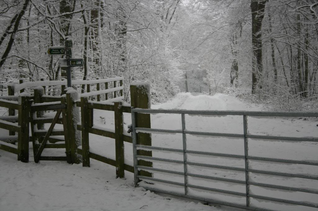 blackwhitewintergate.jpg