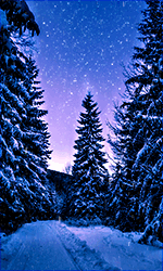 Ionut-Test1.gif