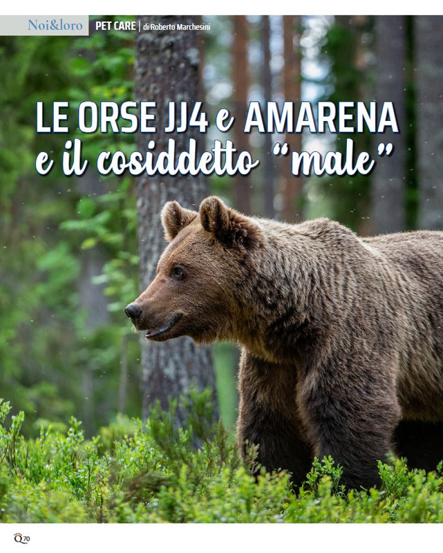 QuattroZampe Ott 2023 (11)