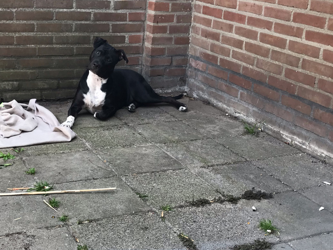 7BC676EB-8CD4-405C-8EA4-DB2B16FC8783