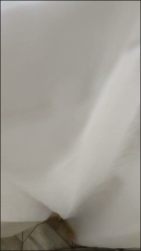 [Image: Voyeur15225140935.jpg]