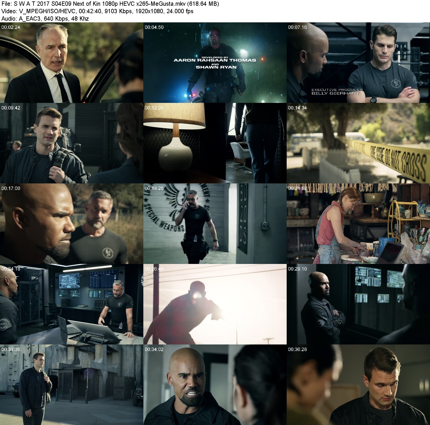 [Image: lw41cza6wo7r.jpg]