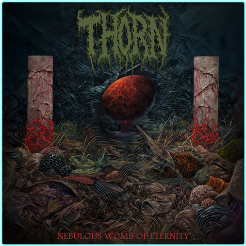 [Image: zsb7q7il45rv.png]