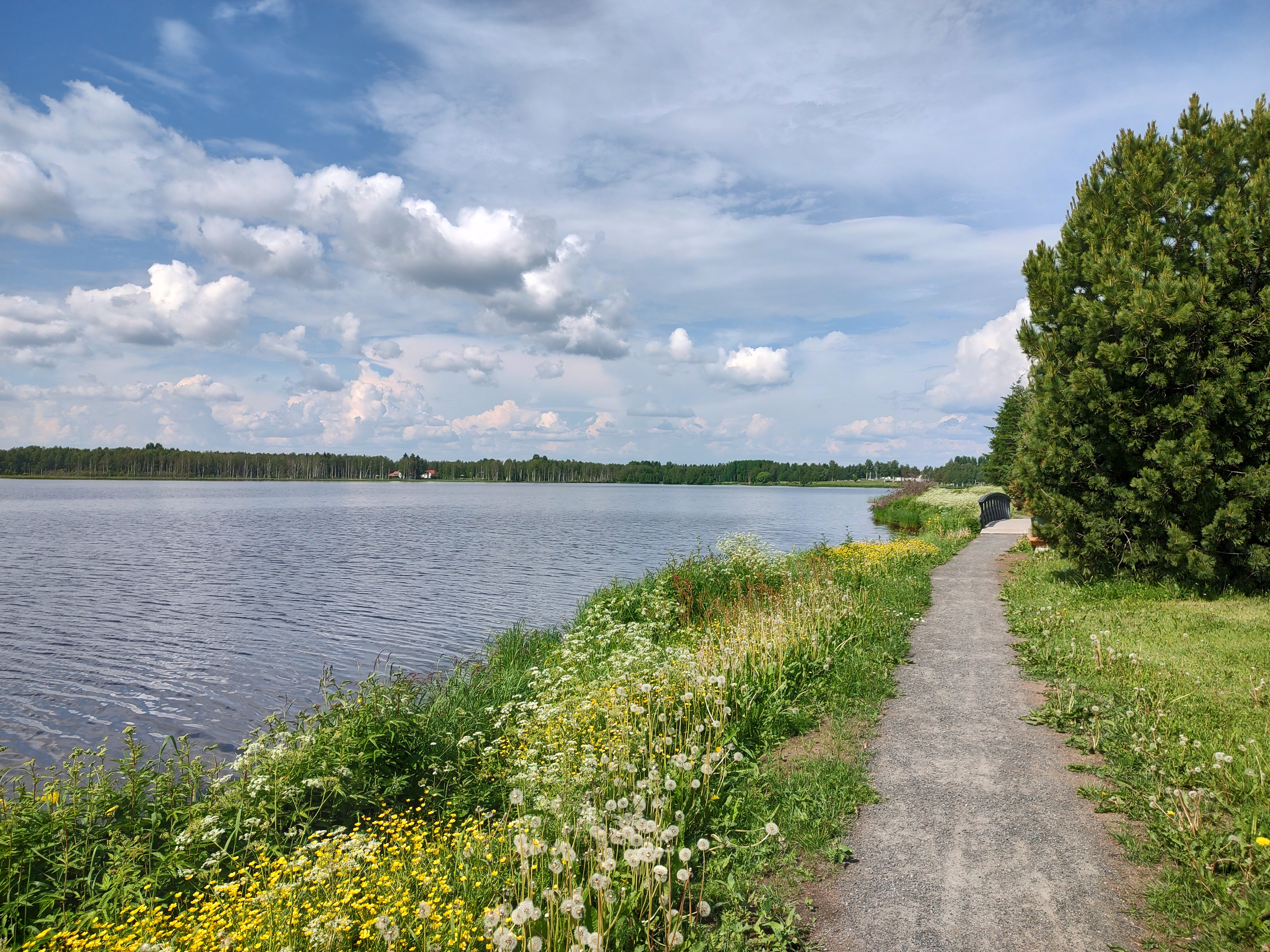 IMG-20230627-142246373-HDR.jpg