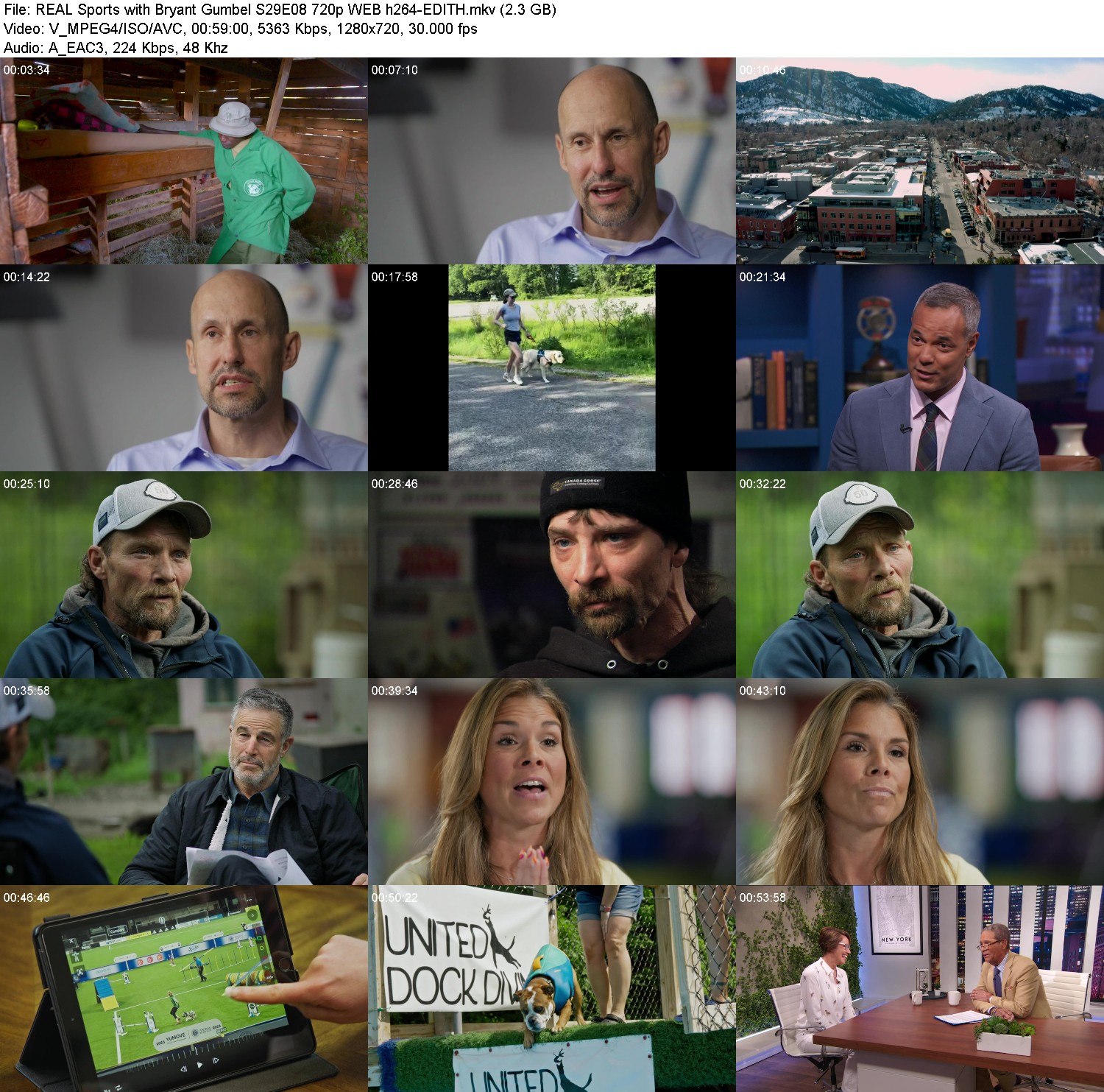 [Image: p6cd81gd0zot.jpg]