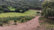 24-08032025