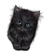 Halloweenpumpkinkitcat2