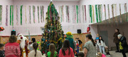 IMG-20241229-WA0018
