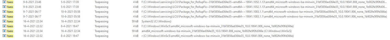 2021-07-11 17_51_43-lsass.exe - Zoekresultaten voor Lokale schijf (C_)