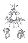 Glinskaya-E-Azbuka-vueshivaniya-Book-See-org-PDF-69