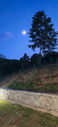 IMG-20230727-211749