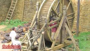 cage-ecureuil.jpg