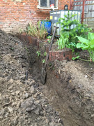 62113745_343212693062105_305057057290059776_n