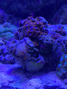 BE9ECF7D-B3B6-4B87-9FB7-7474E52EC333