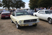 IMG_4743.jpg