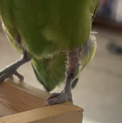 IMG-0566