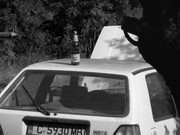 ADP System Pancharevo 2009 (27)