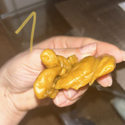 E2F1F2DC-C8F4-4520-A020-DB82798435F0