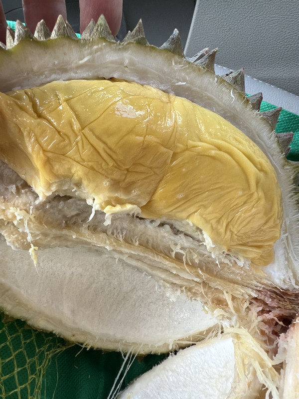 9E5FFCF3-E199-4E03-97F1-2B79288E96A0