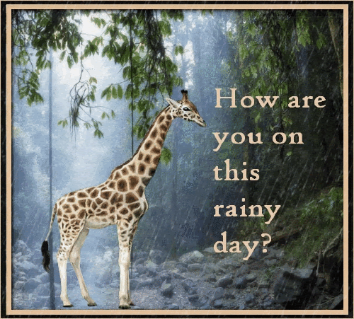 Rainy_Day_Giraffe