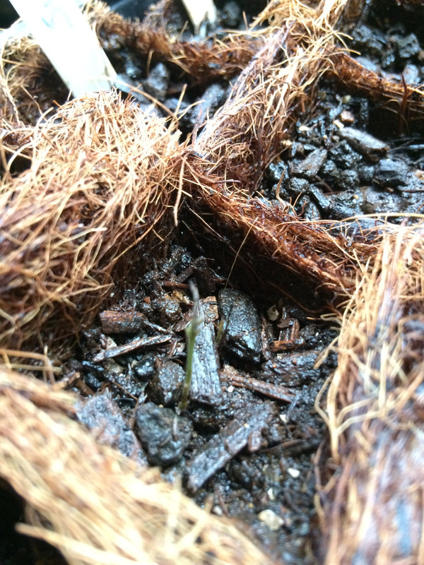 A4F2A950-2E64-4022-8A5C-CC9959908475