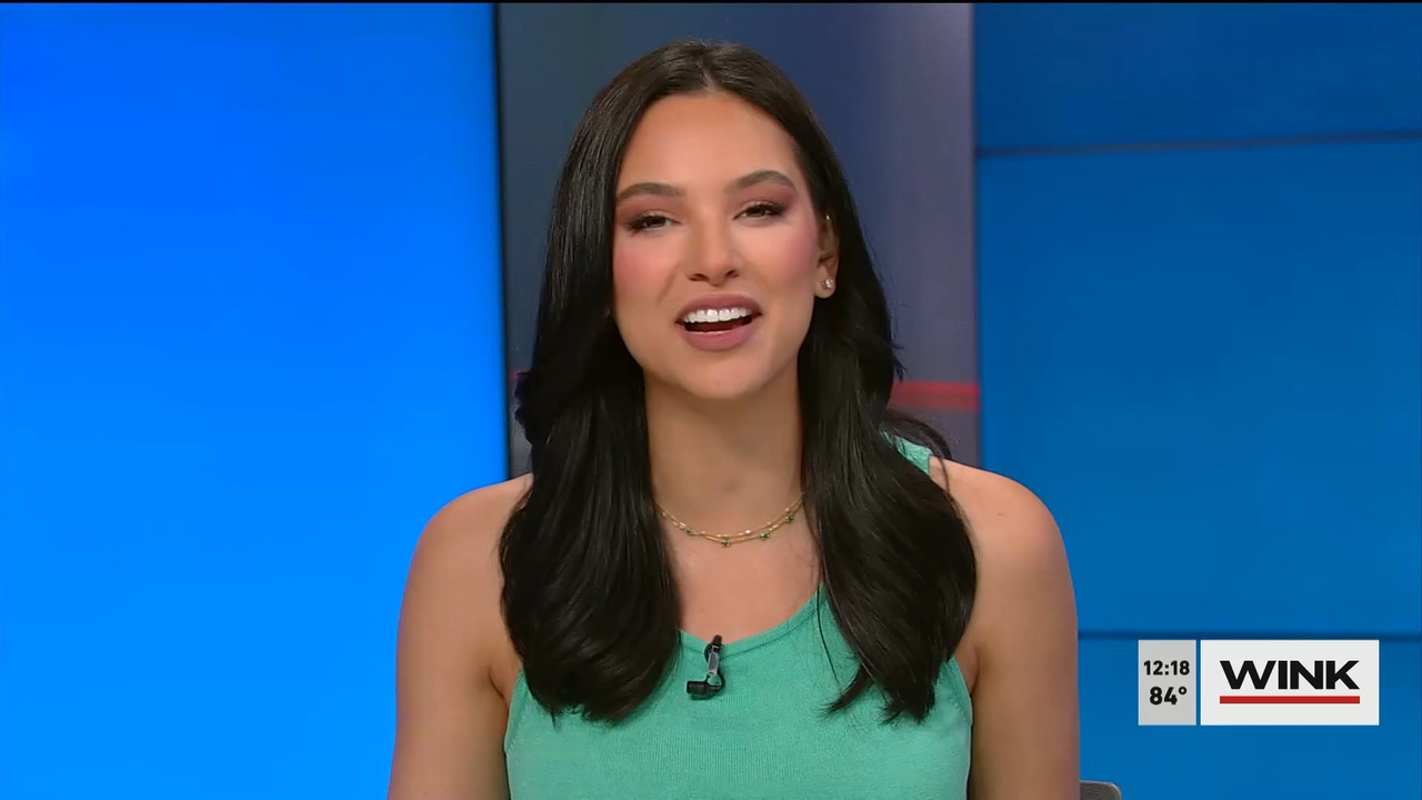 03.01 - 17.00.00 - The WINK Noon News  ᴺᵉʷ. Midday news update..ts_snapshot_24.29.159