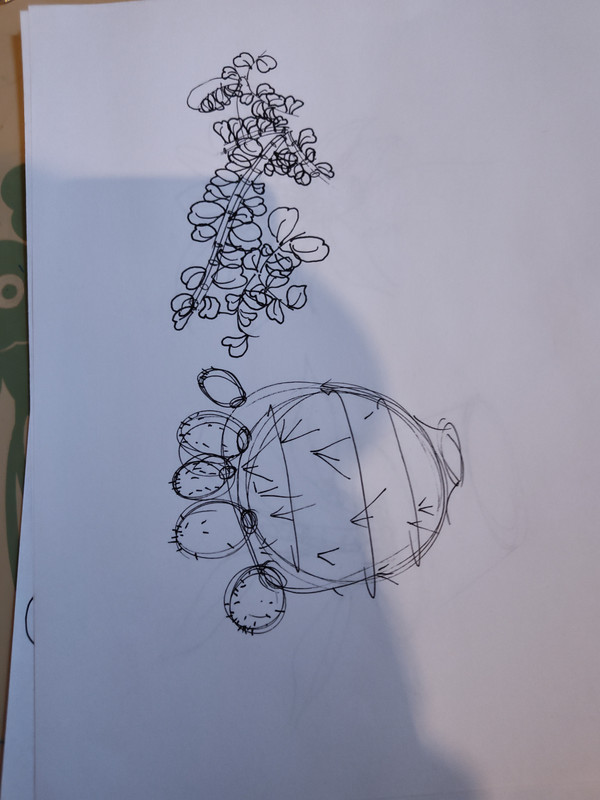 IMG_20240126_110935436