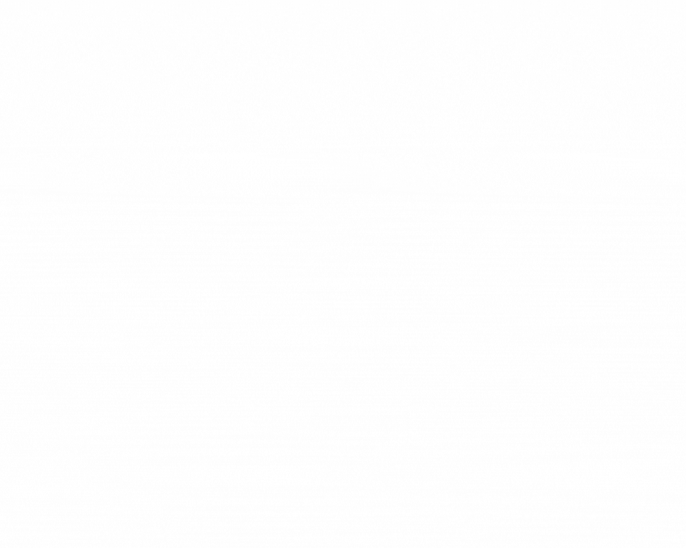 SSRP-4.gif