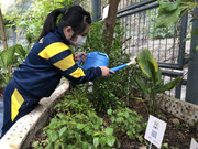 photo-20211123-iherbalgarden-051