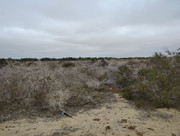 IMG-20260617-100228464