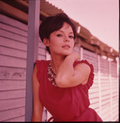 pascale-petit-b93