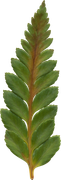 0-1c17b5-b18603c4-orig