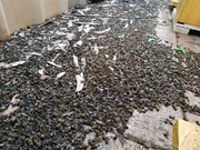 photo_2020-08-26_17-11-35