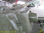 IMG-9941