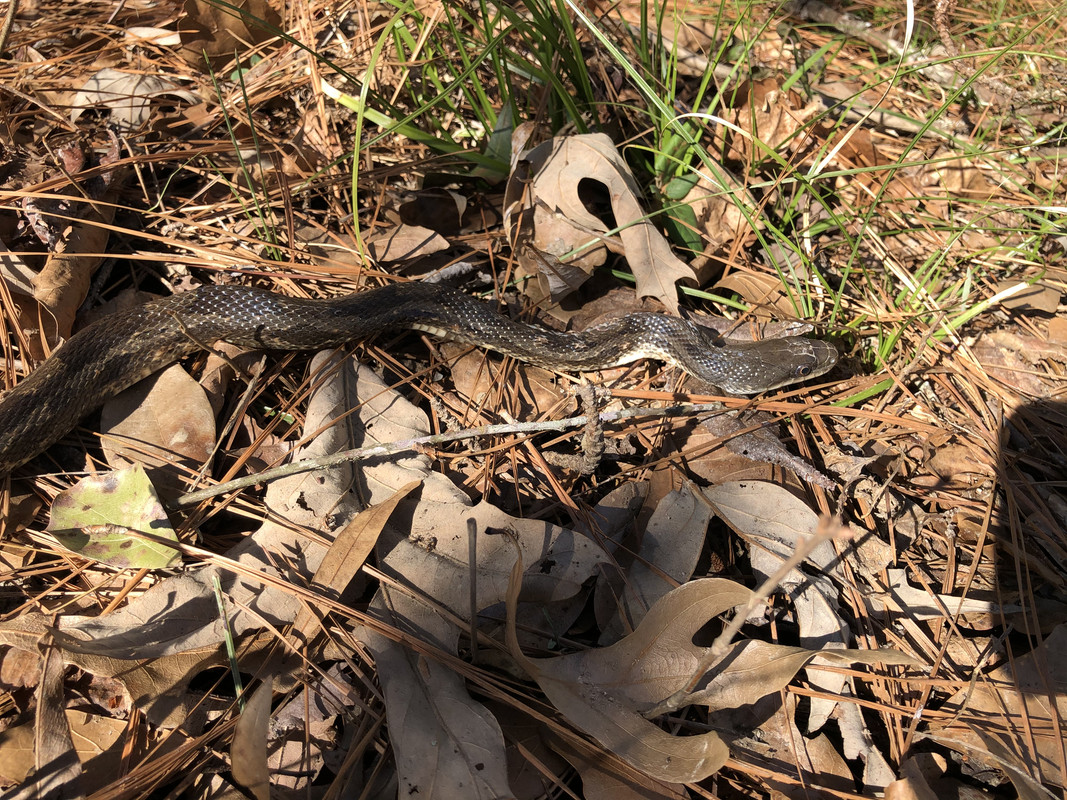 F26D6412-9BF3-4C25-A70E-0BB74889A5DB