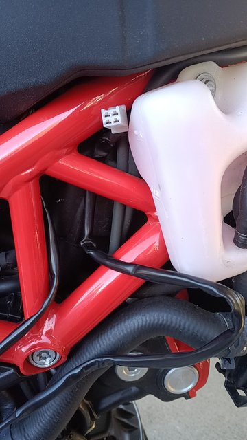 IMG_20211124_140418_01