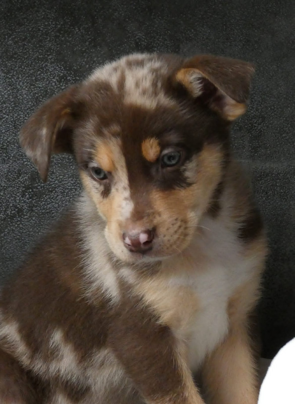 9FCE0248-CE91-491A-A243-0399EE4E504B