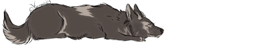 IMG-1358.png