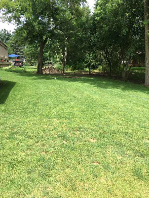 F9A2352A-805A-4AF5-AD9F-A04091B9981B