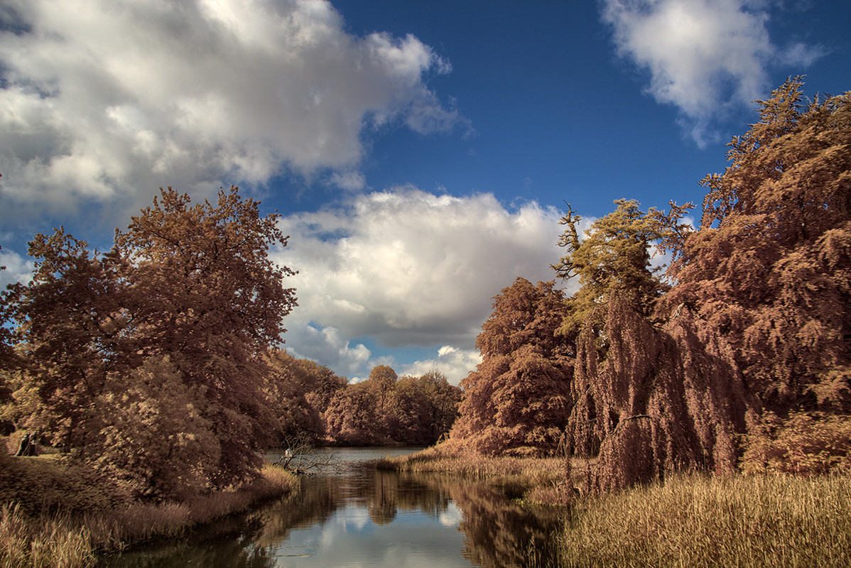 IMAGE: https://i.postimg.cc/DmkP0TwB/280-1-HDR.jpg