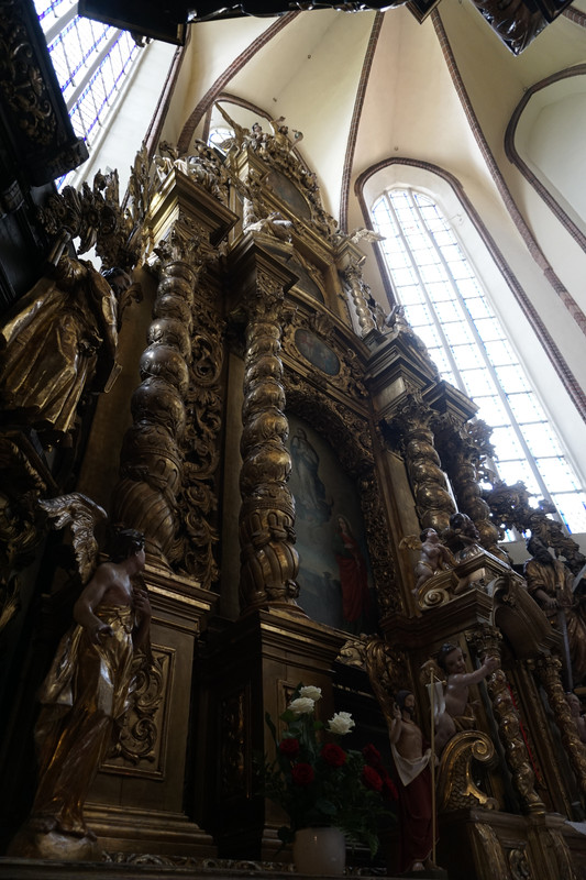 20.07 - DSC08020 (zbychowiec)