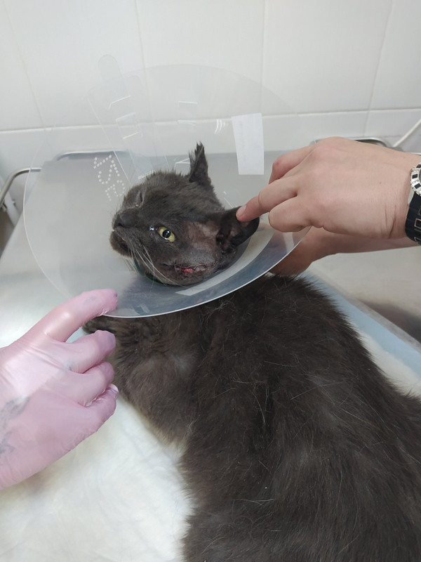 35CC1E13-4EAF-41C9-8753-866272D76E4B